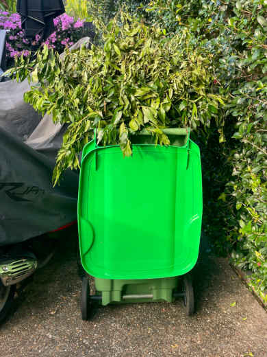 household Garden Waste wheelie bins