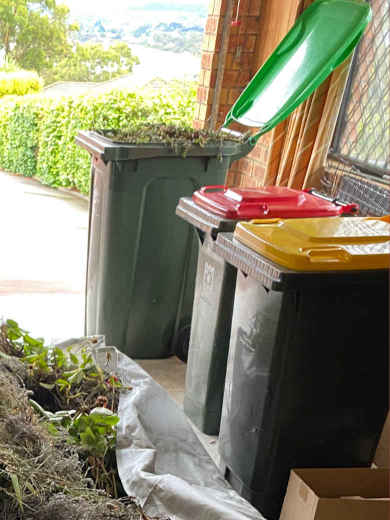 Green Bins Are for Garden Waste?
