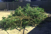 Horsham Green Waste Skip Bin Services