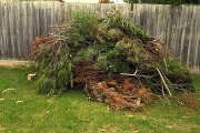 Green waste in Maryborough