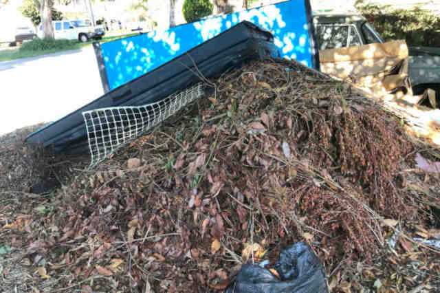 Woodcroft Skip hire for mixed waste load of green waste and other rubbish.
