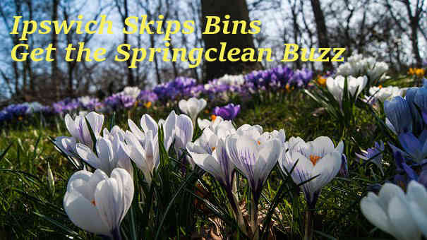 Ipswich Skip Bins a buzz with Spring Clean