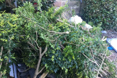 skip bin ready green waste