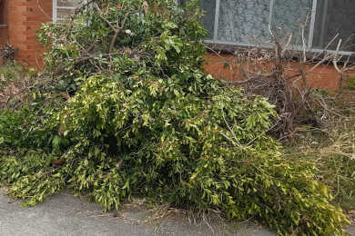 Skip bins are good to hire after a weekends gardening to get rid of green waste