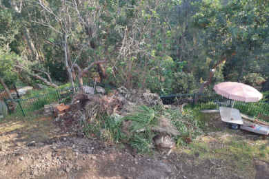 waste removal of Green waste (plants, garden waste and cuttings) Australia wide including Sydney and Melbourne