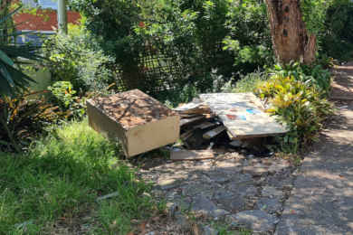Rubbish in the yard then you need bin hire in Brisbane