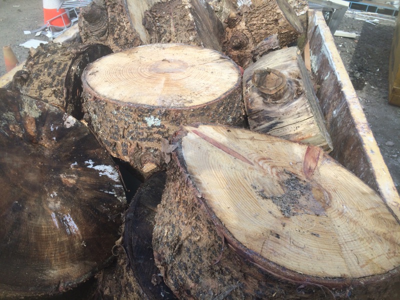 What is considered Green waste for Sydney Skip Bins?