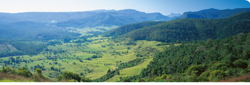 Jimboomba Skip Bins delivered to Scenic Rim council area