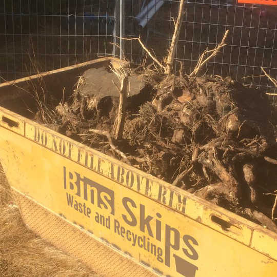 Tree Roots are not timber!!! And do not belong in a timber skip bin.