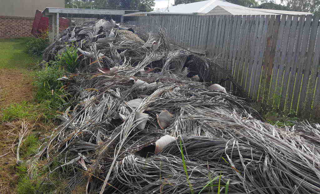 Brown Green Waste Shrinks in Volume