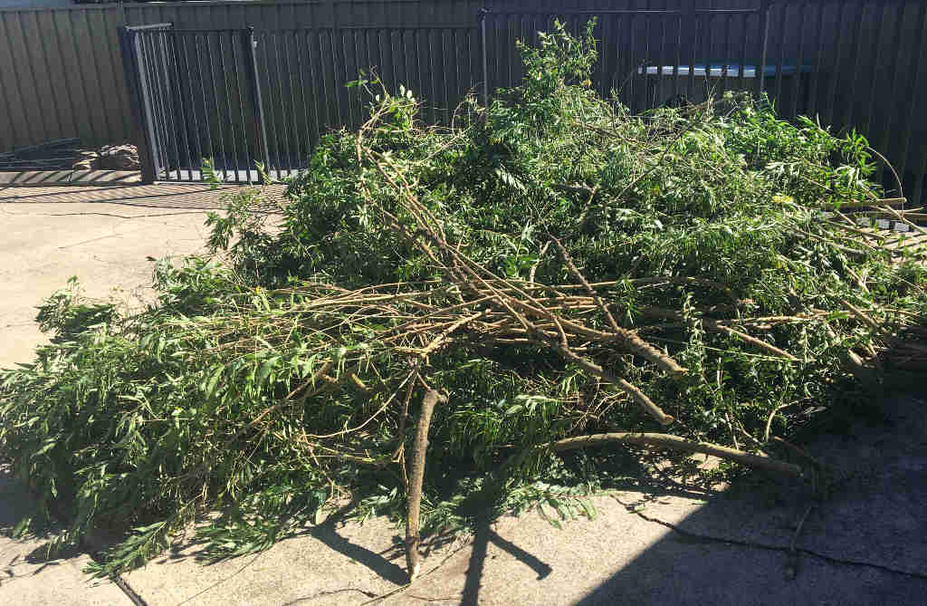 Guessmating Green Waste Volumes